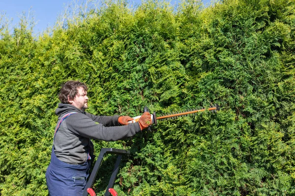 Jardinero Masculino Uniforme Usando Cortador Setos Eléctrico Para Trabajar Aire — Foto de Stock