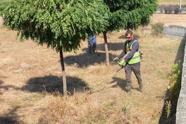 İşçi, benzin tırpanı ile kuru sarı çimenleri biçiyor. Erkek bahçıvan parkta elektrikli çim biçme makinesi ya da benzin biçimiyle çim biçiyor. Bahçe bakımı aletleri ve ekipmanları.