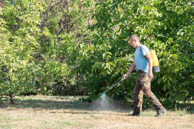 Erkek bahçıvan bölgelere sivrisinekler, haşereler ya da otlar için motorlu spreyli otlar için böcek ilacı sıkar..