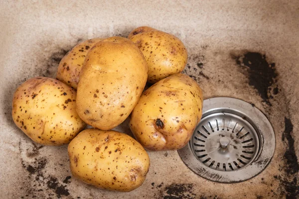 Миття Картоплі Обід Сучасній Кухонній Мисці Вода Промиває Картоплю Раковині Стокова Картинка