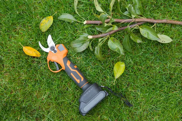 Electrical Manual Secateur Lawn Cutted Twigs Branches Tree Concept Pruning — Stock Photo, Image