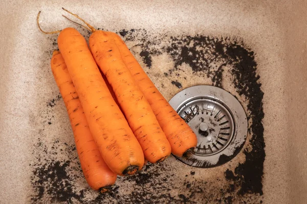 Washing carrot for lunch in a modern kitchen sink. Water rinsing carrot in sink. Close-up.