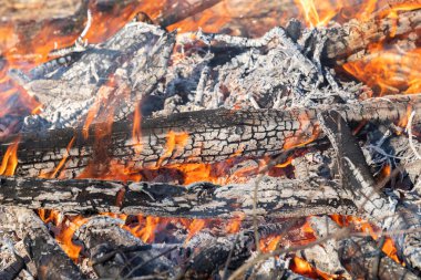 Ateş çukurunda turuncu ve sarı alevlerle yoğun ateşin içinde kömürleşmiş ve yanan kütükler. Yakın plan..