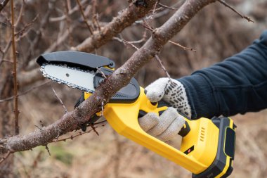Gardener's hand cuts branch on a tree, with using small handheld lithium battery powered chainsaw. Season pruning. Trimming trees with chainsaw in backyard home. Season cut tree. Close up. clipart