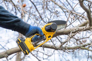 Bahçıvanın eli, küçük el yapımı lityum pilli testere kullanarak bir ağacın dalını kesiyor. Mevsim budama. Arka bahçedeki elektrikli testereyle ağaçları buduyorum. Mevsim ağacı. Kapat..