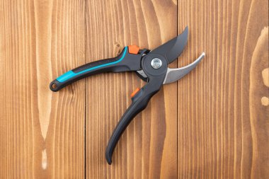 Steel gardening secateurs, scissors tool with blue and black grip for pruned of plants and flowers garden work, on a wooden table background. Open state. Top view. Close-up. clipart