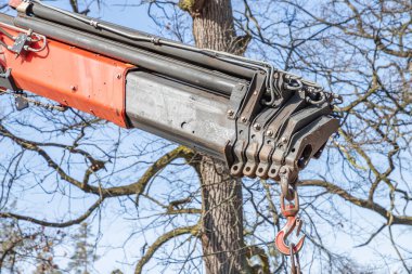 Güneşli bir günün erken saatlerinde eski bir parkta kancalı gezici bir vinç yükleme kamyonu. Sokakların peyzajı, genç ağaçlarla dolu parklar. Yakın plan..