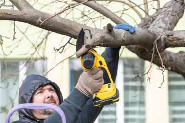 Bahçıvan bir ağacın dalını küçük el bilgisayarı lityum pilli testere ile keser. Mevsim budama. Arka bahçedeki elektrikli testereyle ağaçları buduyorum. Mevsim ağacı. Kapat..