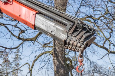 Güneşli bir günün erken saatlerinde eski bir parkta kancalı gezici bir vinç yükleme kamyonu. Sokakların peyzajı, genç ağaçlarla dolu parklar. Yakın plan..