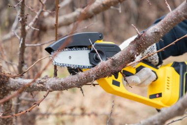 Bahçıvanın eli, küçük el yapımı lityum pilli testere kullanarak bir ağacın dalını kesiyor. Mevsim budama. Arka bahçedeki elektrikli testereyle ağaçları buduyorum. Mevsim ağacı. Kapat..