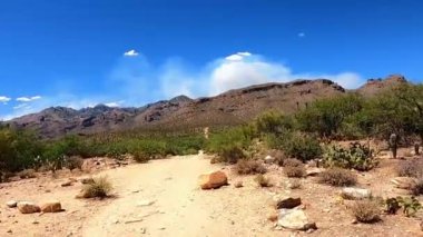 Arizona 'nın Catalina Dağları, Tucson' daki büyük orman yangınından dumanlar yükseliyor.