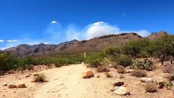 Smoke Pluimen Van Enorme Arizona Wildvuur Boven Catalina Mountains Tucson — Stockvideo