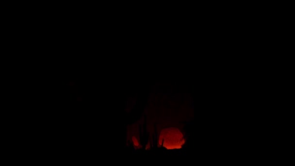 Rayos Ramificados Cielo Oscuro Detrás Saguaro — Vídeos de Stock