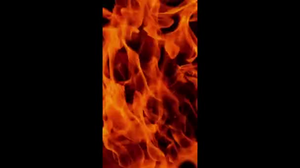 Έντονες Πορτοκαλί Φλόγες Μαύρο Φόντο — Αρχείο Βίντεο
