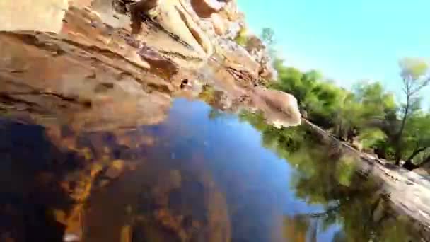 Gilakubbar Simning Sabino Creek Tucson — Stockvideo
