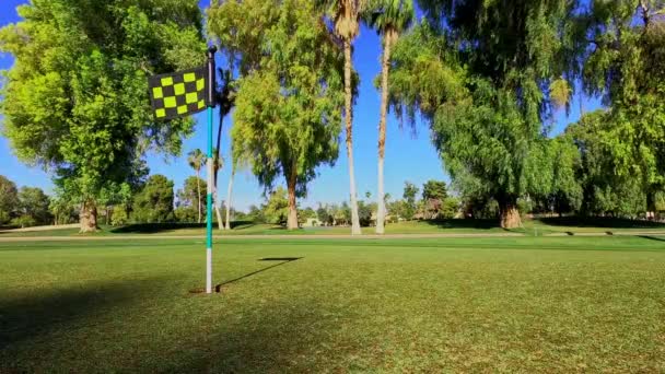 Poner Bola Golf Naranja Puerta Trasera Del Agujero — Vídeo de stock