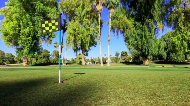 Poner Bola Golf Amarillo Directamente Agujero — Vídeos de Stock