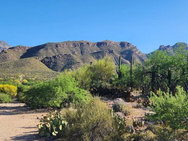 Güney Tucson, Arizona 'dan Blacketts Ridge View