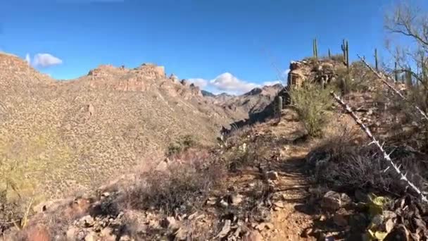 Wędrówki Południowym Krańcu Kanionu Niedźwiedzia Tucson Arizona — Wideo stockowe