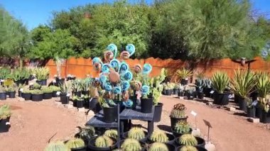 Rüzgarda dönen yel değirmeni - Arizona bahçesi