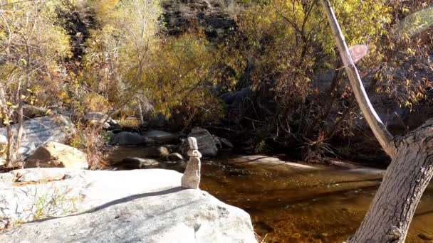 Conejo Piedra Cairn Sabino Creek Tucson Arizona — Vídeos de Stock