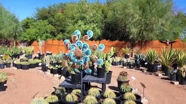 Windmühlen Drehen Sich Wind Garten Arizona — Stockvideo