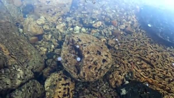 Sabino Creek Felsen Mit Organischen Trümmern — Stockvideo