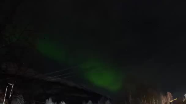 Grön Och Röd Aurora Borealis Video — Stockvideo