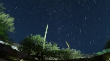 Saguaro kaktüsüyle kıvrımlı yıldız izleri