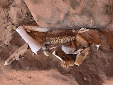 Eski kemik aletleri ve mısır koçanları ile kumlu mağara zemini.