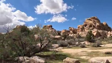 Joshua Tree Ulusal Parkı ve kaya tepeciklerinin yanından geçerken