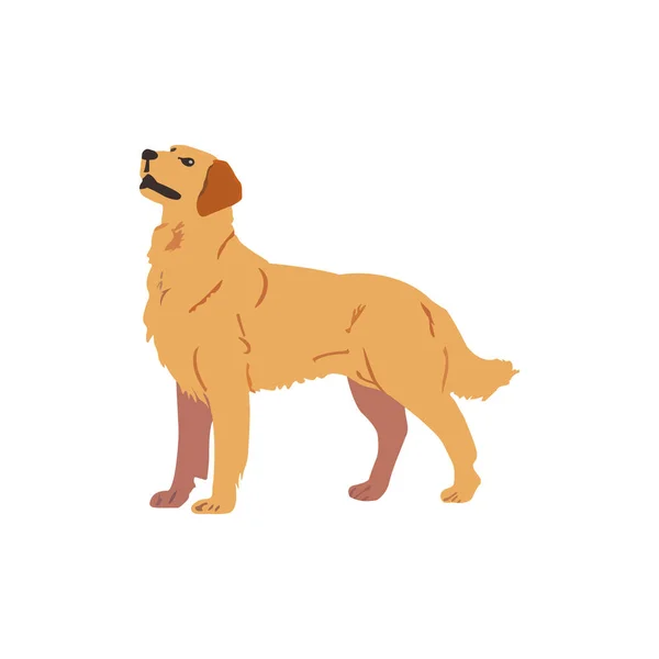 Стоячая Собака Концепция Домашних Животных Изолированная Векторная Иллюстрация — стоковый вектор