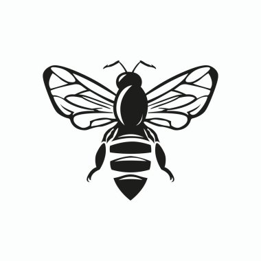 Yaratıcı Arı Simgesi. Bal Arısı, Bal Yapımı konsepti. İzole vektör logosu illüstrasyonu