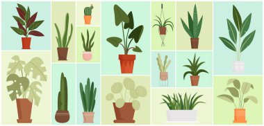 Saksıdaki ev bitkileri vektör illüstrasyonunu ayarlıyor. Ev bahçesi ve iç dekorasyon için farklı ev bitkileri karikatürleri, geometrik kolaj arka planında saksıda asılı tropikal bitkiler