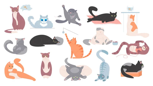 Cute Cats Set Vector Illustration Cartoon Funny Pet Different Action — Stock Vector