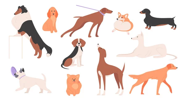 Psy Ustawiają Ilustrację Wektora Cartoon Szczęśliwy Słodkie Psy Różnych Ras — Wektor stockowy