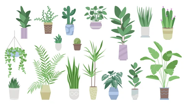 Green Plants House Decoration Set Vector Illustration Cartoon Flowerpots Vases — Stockvektor