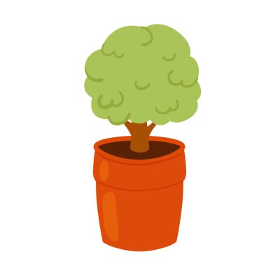 Tencerede dekoratif ağaç. Bahçe arazisi, saksı bitkisi, küçük süsleme ağacı illüstrasyonu