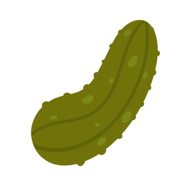 Salatalık sebzesi. Bahçe hasadı, salatalık yetiştirme bitki vektörü çizimi