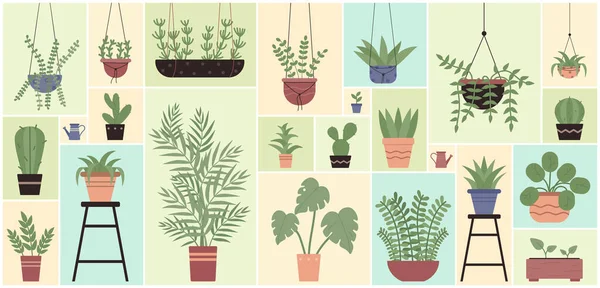 卡通画不同的家庭植物 用于家庭花园和室内装饰 将盆栽热带植物挂在几何图形拼贴背景中 盆栽中的绿色植物 用作花卉设计病媒图解 — 图库矢量图片