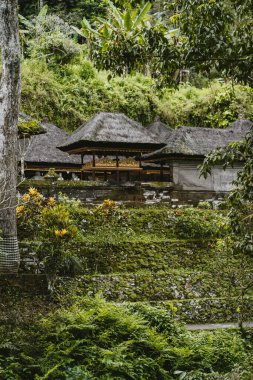 Tarihsel Pura Gunung Kawi tapınağı. Bali antik mimarisi, Kawi dağı ve kraliyet mezarları