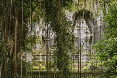 Pura Gunung Kawi tapınağı. Acient balinaları Kawi 'yi cezbeder, Ubud' daki kayalık tapınak