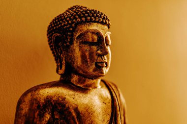 Oturarak meditasyon yaparken duvarda duran altın Buda heykeli portresi. Budizm dini bilgelik ve saflığın sembolüdür.