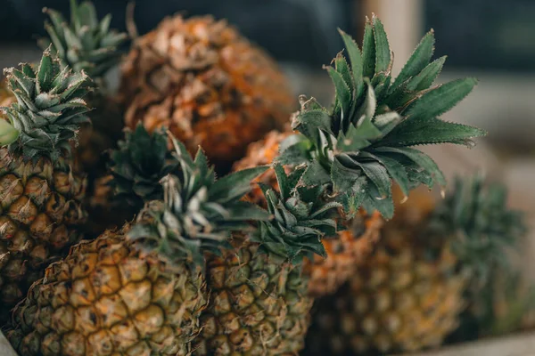 Ananas meyvesi yakın çekim. Tropik doğal taze meyve, egzotik olgun ananas.