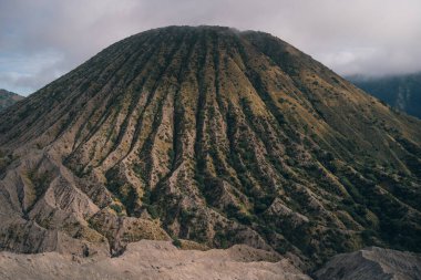 Bromo Dağı yanardağının yan görüntüsü. Semeru Ulusal Parkı 'ndaki dağ bitkilerinin manzarası