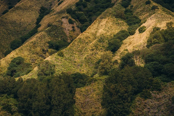 Gros Plan Texture Bromo Avec Couverture Végétale Volcan Bromo Savane — Photo