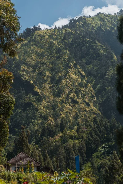 Τροπικό Τοπίο Λόφους Βαλινέζικη Βλάστηση Ινδονησιακό Τροπικό Δάσος Και Ορυζώνες — Φωτογραφία Αρχείου