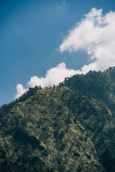 热带丘陵 草木丛生 草木丛生 印度尼西亚雨林和稻田 — 图库照片