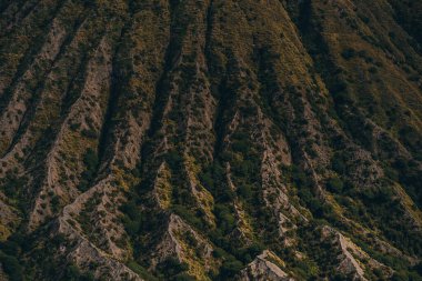 Bromo Dağı dokusunu savana bitki örtüsüyle kapatın. Bitkilerle kayalık lav, Bromo savana alanı.