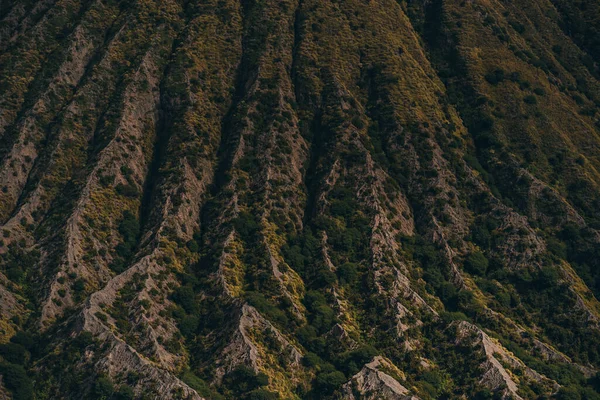 Bromo Dağı Dokusunu Savana Bitki Örtüsüyle Kapatın Bitkilerle Kayalık Lav — Stok fotoğraf